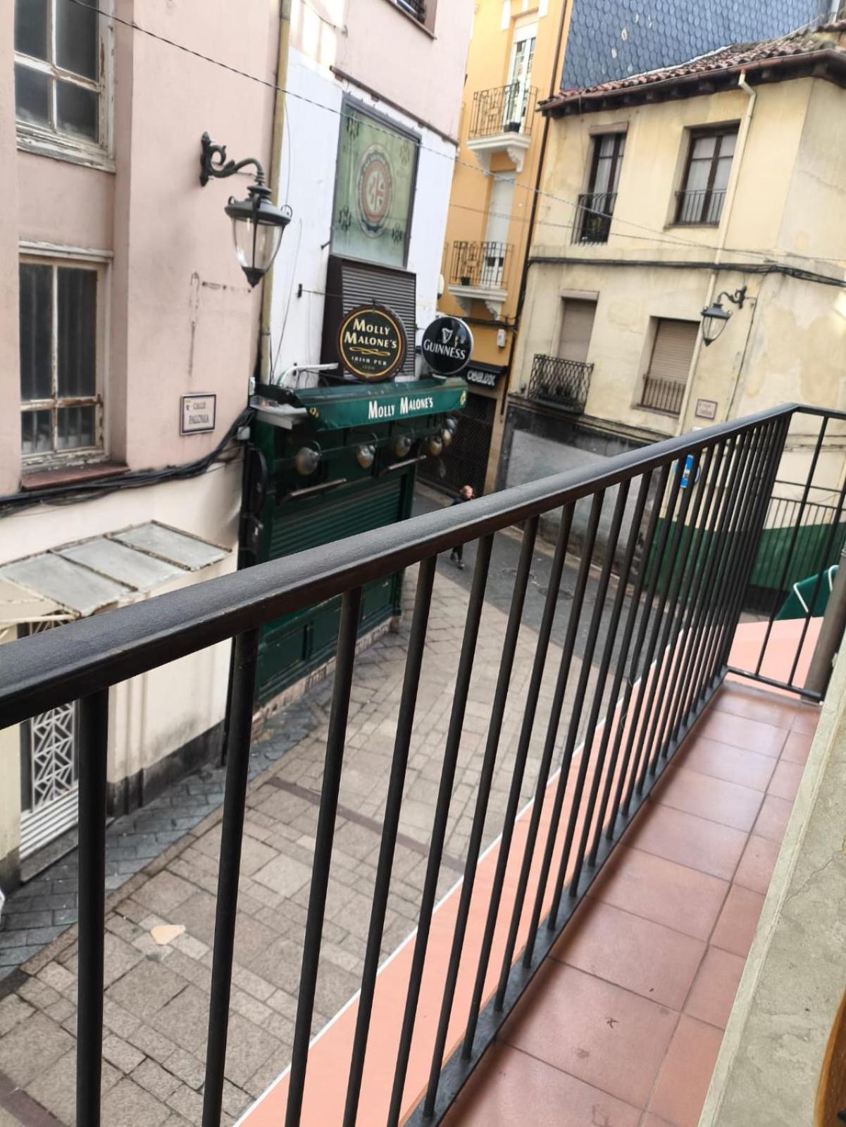 Piso Molly Leão